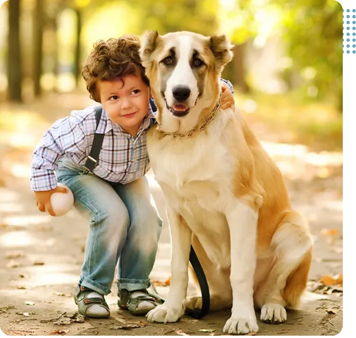 A boy and his dog are playing ball in the park.